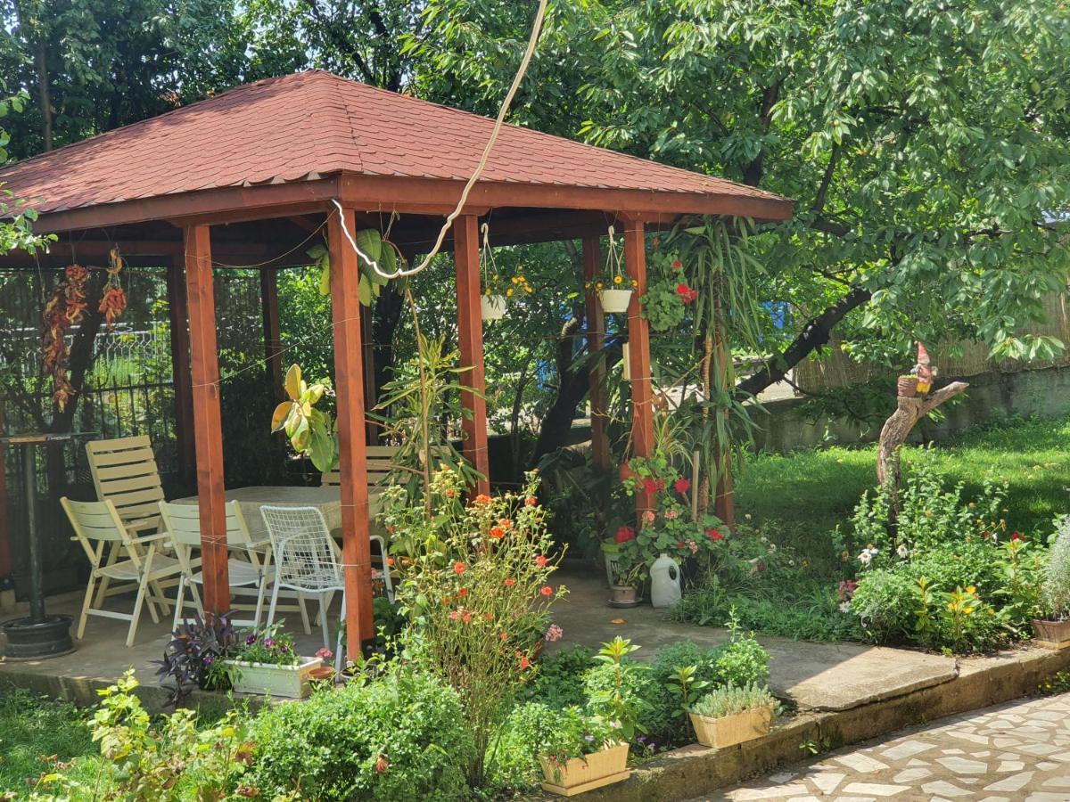 Villa Broj Jedan Delux Sokobanja Exterior foto